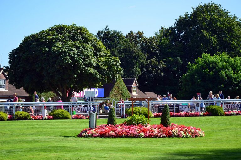 Sandown Park, Esher, Surrey